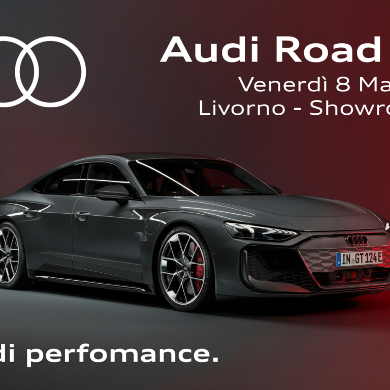 Audi Driving Experience